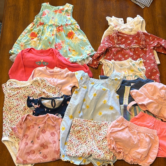 Other - 6-9 month bundle of baby girl clothes (18 pieces)